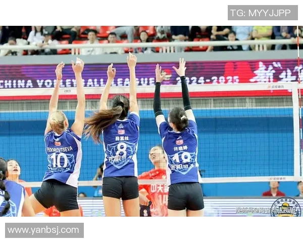 实时新闻上海排球队在排球比赛中取得新高经验排名引发关注与期待